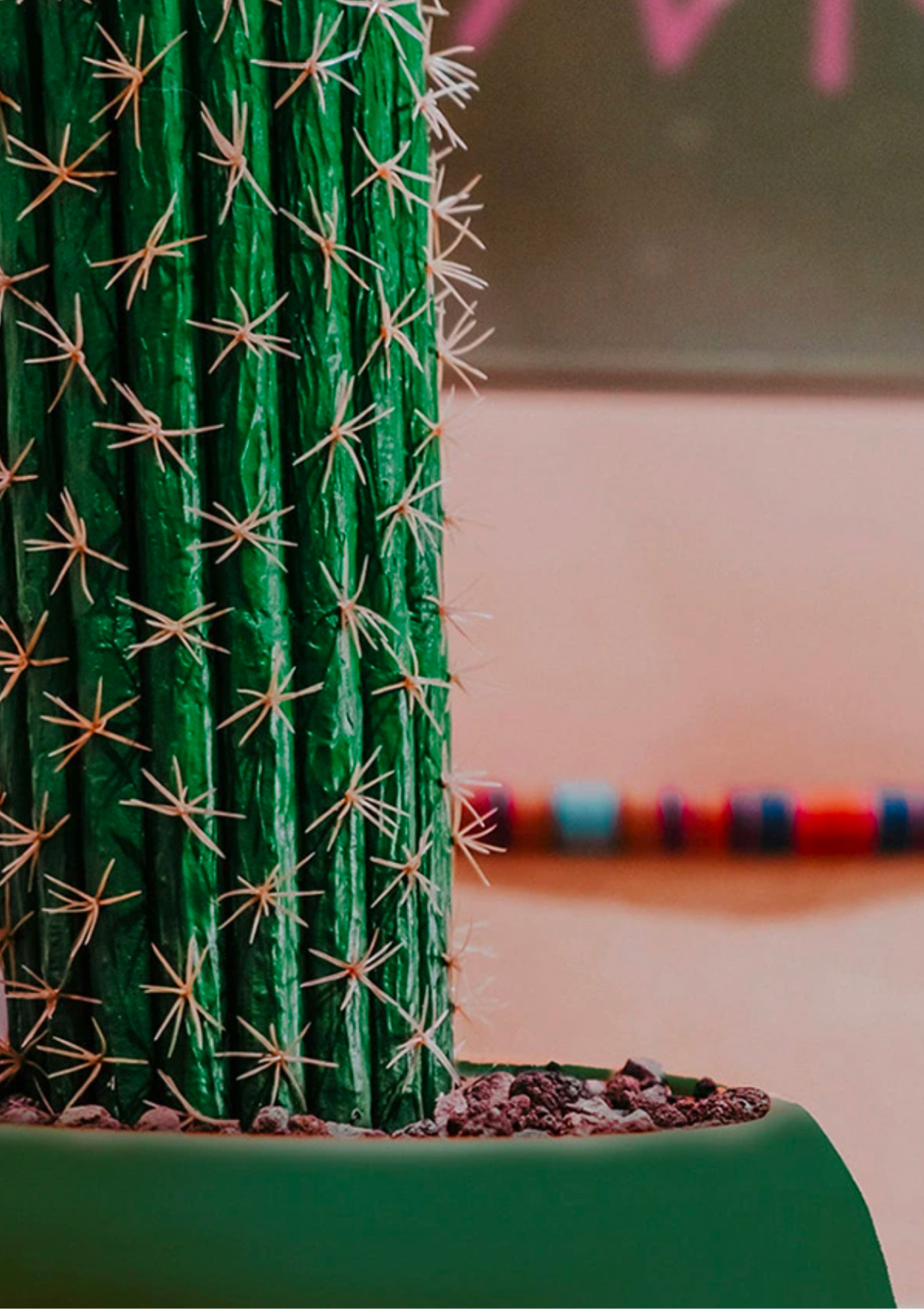 oy tacos cactus detail
