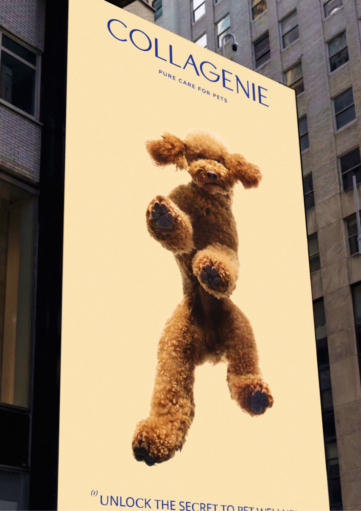 collagenie outdoor poodle poster