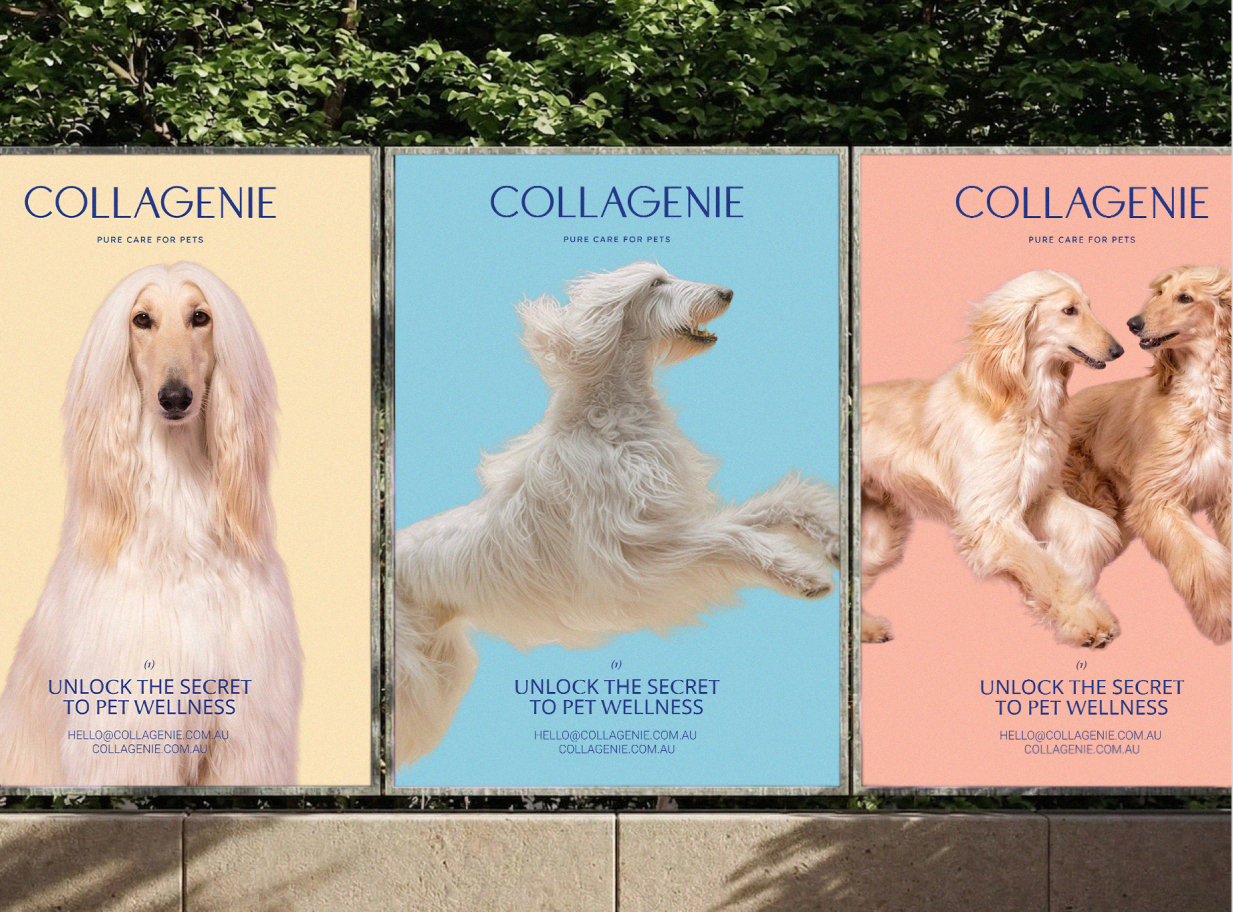 collagenie outdoor poster triptych